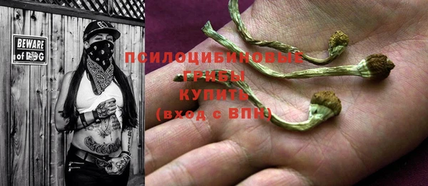 ПСИЛОЦИБИНОВЫЕ ГРИБЫ Горнозаводск
